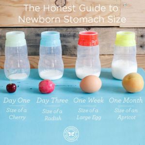 fd10e133998f5647f2ec7b7297d62e5c