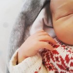 fb92a5a3-6b9a-43be-8bb8-3f2678509b95