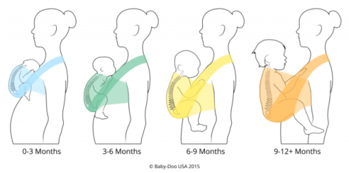 fwcc-side-final-progression
